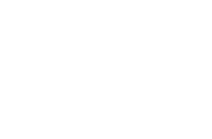 01_logo_italika