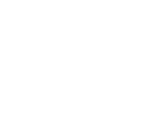 03_logo_la_fina_b