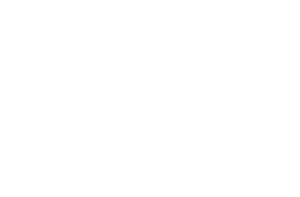 05_electra