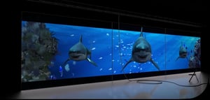 Proyección inmersiva de tres pantallas en un entorno oscuro, mostrando una escena submarina con tiburones, corales y peces. El suelo presenta un cable y soporte visibles frente a las pantallas.