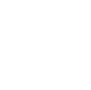 Logo-benelli