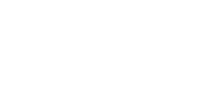 logo-bolt