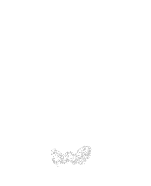 rayo